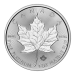 1 oz 2025 Canadian Maple Leaf Platinum Coin | Royal Canadian Mint