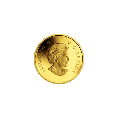 1/25 oz 2011 Orca Whale Gold Coin | Royal Canadian Mint