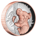 5 oz 2024 Australian Koala High Relief Proof Gilded Silver Coin | Perth Mint