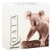 5 oz 2024 Australian Koala High Relief Proof Gilded Silver Coin | Perth Mint