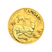 Pièce 1/2 once d'or Kangourou australien 2025 | Monnaie de Perth