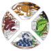 Set of 4 x 1 oz 2025 Lunar Year of the Snake Quadrant Colourized Proof Silver Coins | Perth Mint