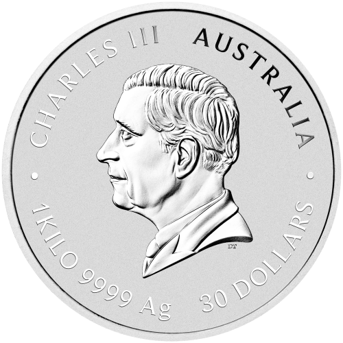1 kilo 2025 Lunar Year of the Snake Silver Coin | Perth Mint