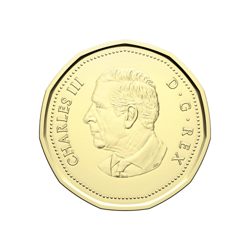 Set of 5 x 2025 Newborn Baby Gift Coins | Royal Canadian Mint