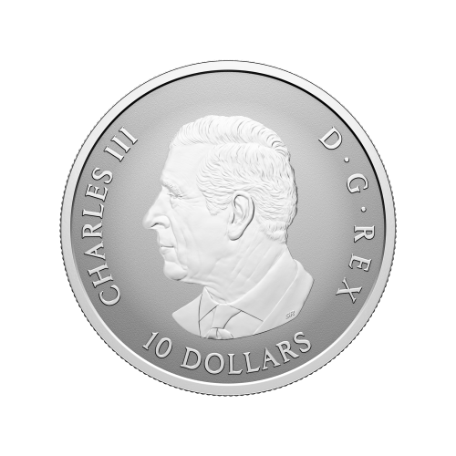 Pièce 1/2 once d'argent épreuve inverse Étincelantes feuilles d'érable 2025 | Monnaie royale canadienne