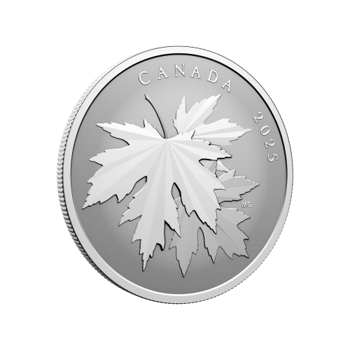Pièce 1/2 once d'argent épreuve inverse Étincelantes feuilles d'érable 2025 | Monnaie royale canadienne