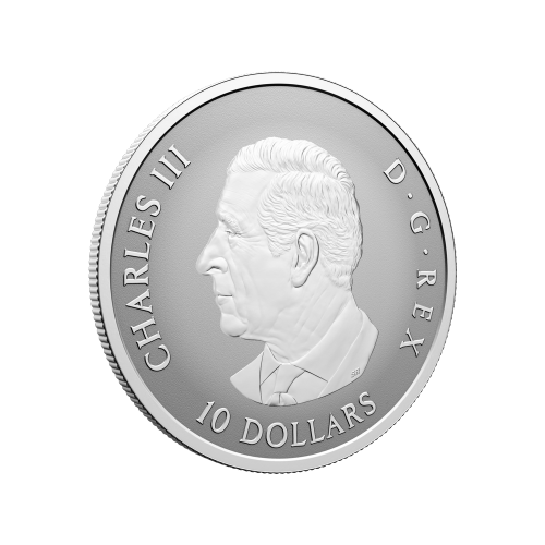 Pièce 1/2 once d'argent épreuve inverse Étincelantes feuilles d'érable 2025 | Monnaie royale canadienne