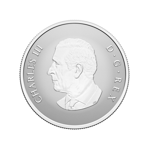 1/2 oz 2025 Welcome to the World: Baby Gift Silver Coin | Royal Canadian Mint