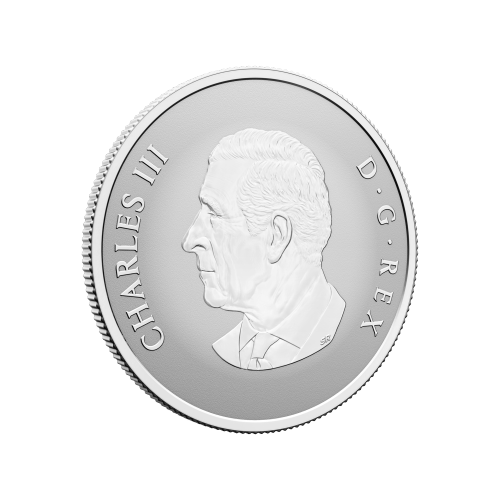 1/2 oz 2025 Welcome to the World: Baby Gift Silver Coin | Royal Canadian Mint