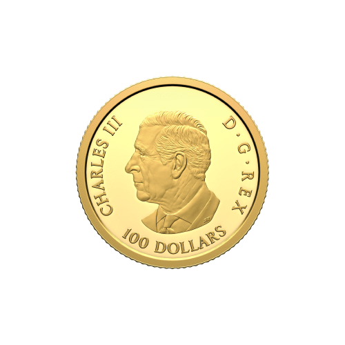 1/4 oz 2025 Tomb of the Unknown Soldier Proof Gold Coin | Royal Canadian Mint