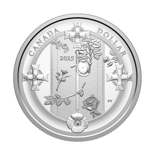 3/4 oz 2025 Tomb of the Unknown Soldier Proof Silver Coin | Royal Canadian Mint
