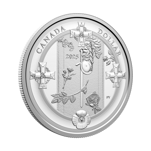 3/4 oz 2025 Tomb of the Unknown Soldier Proof Silver Coin | Royal Canadian Mint