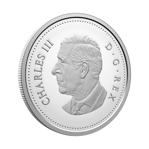3/4 oz 2025 Tomb of the Unknown Soldier Proof Silver Coin | Royal Canadian Mint