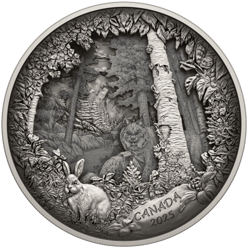 2025 Predator or Prey in Shadow Box Silver Coin | Royal Canadian