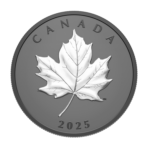 Pièce 1 once d’argent Feuille d’érable élégante plaquée de rhodium noir 2025 | Monnaie royale canadienne
