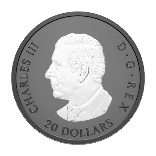 Pièce 1 once d’argent Feuille d’érable élégante plaquée de rhodium noir 2025 | Monnaie royale canadienne