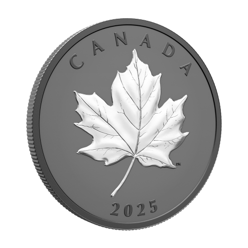 Pièce 1 once d’argent Feuille d’érable élégante plaquée de rhodium noir 2025 | Monnaie royale canadienne
