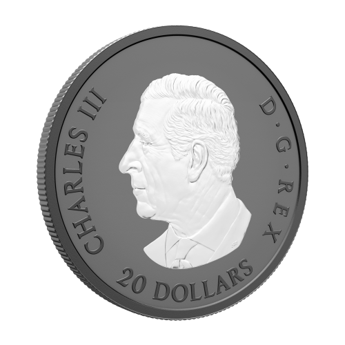 Pièce 1 once d’argent Feuille d’érable élégante plaquée de rhodium noir 2025 | Monnaie royale canadienne