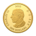 1 oz 2025 Triple Maple Leaf Proof Gold Coin | Royal Canadian Mint