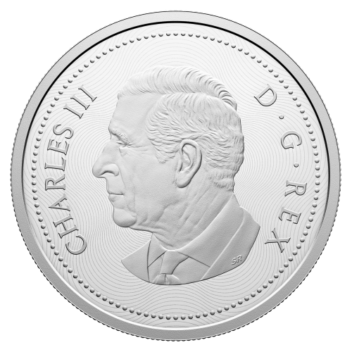 2025 Multilayered Beaver Proof Silver Coin | Royal Canadian Mint