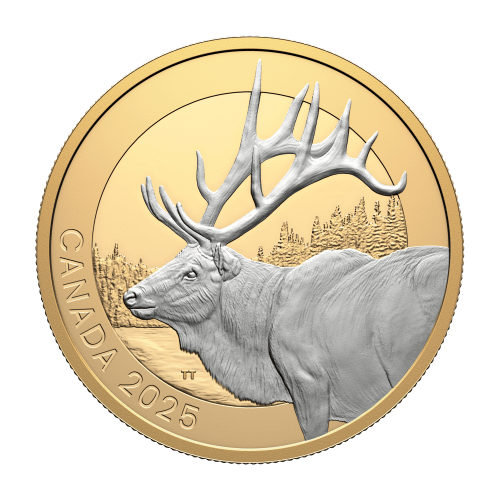 1 oz 2025 Animal Portraits: Elk Proof Silver Coin | Royal Canadian Mint