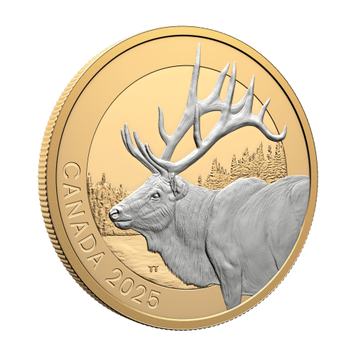 1 oz 2025 Animal Portraits: Elk Proof Silver Coin | Royal Canadian Mint