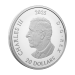 1 oz 2025 Triple Maple Leaf Proof Silver Coin | Royal Canadian Mint