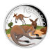 1 oz 2025 Australian Kangaroo High Relief Colourized Proof Silver Coin | Perth Mint