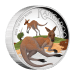 1 oz 2025 Australian Kangaroo High Relief Colourized Proof Silver Coin | Perth Mint