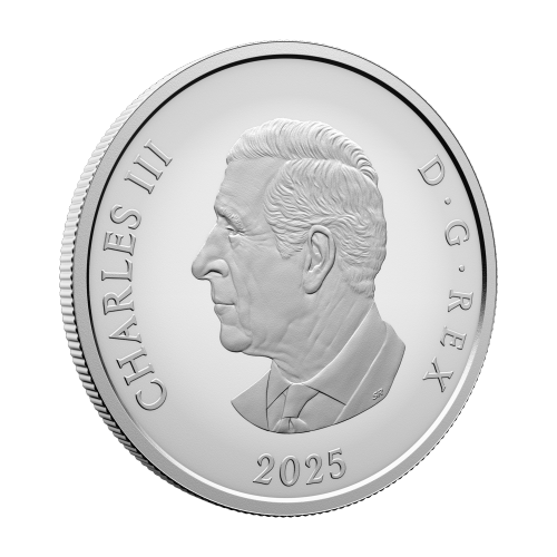 1 oz 2025 Williamson Diamond Brooch Silver Coin | Royal Canadian Mint