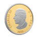 2025 Williamson Diamond Brooch Gold Coin | Royal Canadian Mint