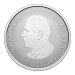 1 oz 2025 Maple Leaf Forever Platinum Coin | Royal Canadian Mint