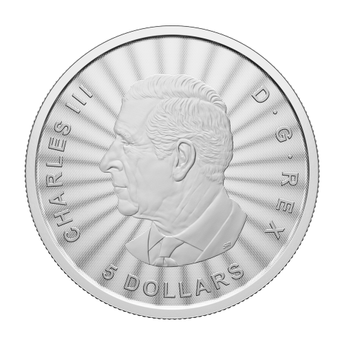 1 oz 2025 The Majestic Polar Bears First Strike Silver Coin | Royal Canadian Mint