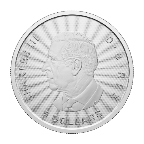 1 oz 2025 The Majestic Polar Bears Silver Coin | Royal Canadian Mint