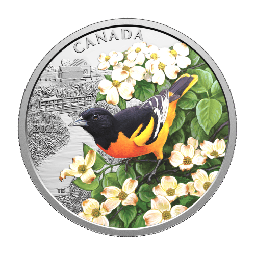 1 oz 2025 Colourful Birds: Baltimore Oriole Colourized Silver Coin | Royal Canadian Mint