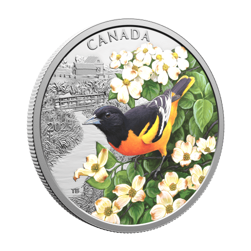 1 oz 2025 Colourful Birds: Baltimore Oriole Colourized Silver Coin | Royal Canadian Mint