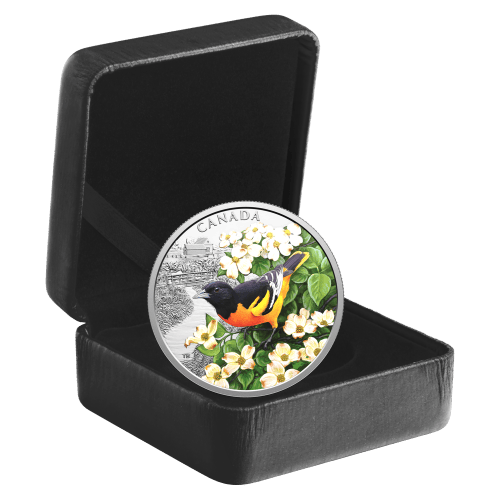 1 oz 2025 Colourful Birds: Baltimore Oriole Colourized Silver Coin