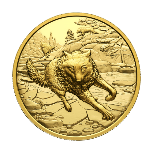 1 oz 2025 Great Hunters: Grey Wolf Ultra High Relief Gold Coin | Royal Canadian Mint