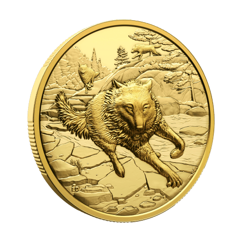1 oz 2025 Great Hunters: Grey Wolf Ultra High Relief Gold Coin | Royal Canadian Mint