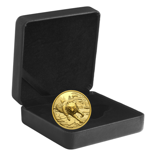 1 oz 2025 Great Hunters: Grey Wolf Ultra High Relief Gold Coin | Royal Canadian Mint