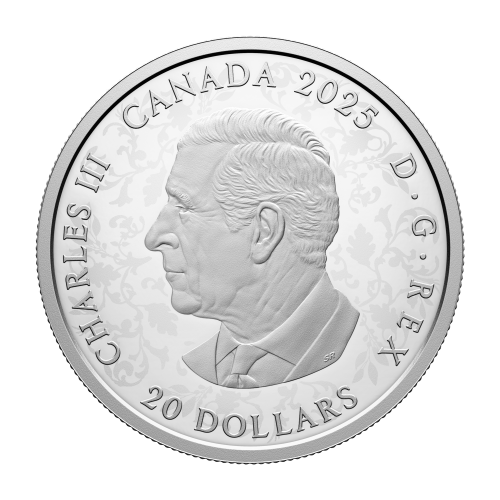 1 oz 2025 Celebrating Canada's Diversity: Strength and Abundance Proof Silver Coin | Royal Canadian Mint