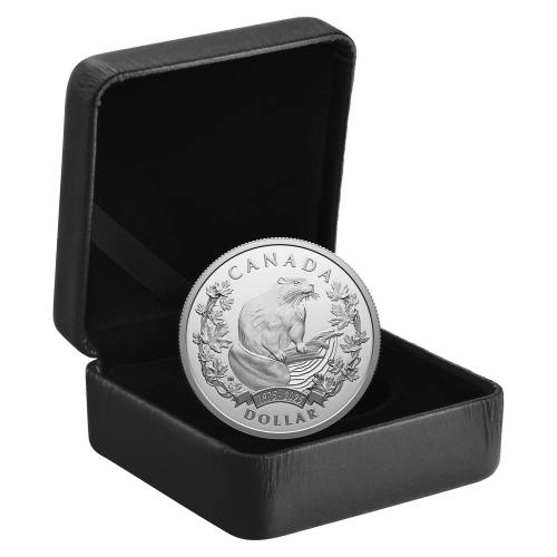 3/4 oz 2025 50th Anniversary of the Beaver Official Symbol Proof Silver Coin | Royal Canadian Mint