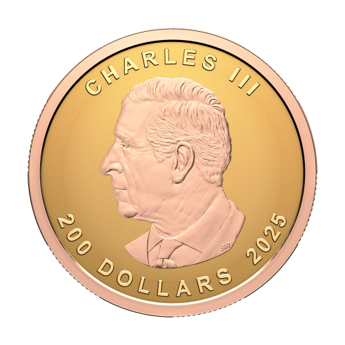 1 oz 2025 Ultra High Relief Maple Leaf Rose Gold Plated Reverse Proof Gold Coin | Royal Canadian Mint