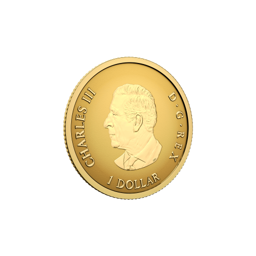 0.5 gram 2026 30th Anniversary of Canada's Arboreal Emblem Reverse Proof Gold Coin | Royal Canadian Mint