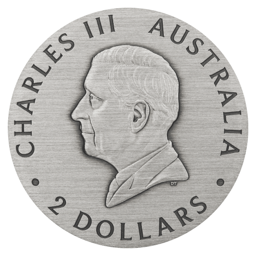 2 oz 2025 Australian Honey Bee Colourized Antiqued Silver Coin | Perth Mint
