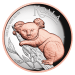 5 oz 2025 Australian Koala Rose Gold Plated High Relief Proof Gilded Silver Coin | Perth Mint