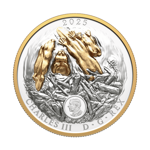 2025 Canadian Symbol: The Beaver Gold Plated Extraordinarily High Relief Proof Silver Coin | Royal Canadian Mint