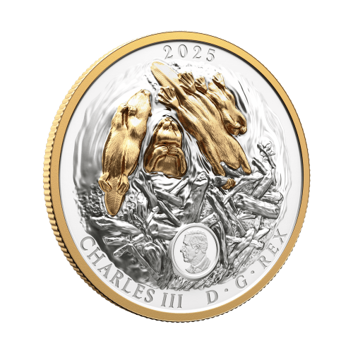 2025 Canadian Symbol: The Beaver Gold Plated Extraordinarily High Relief Proof Silver Coin | Royal Canadian Mint