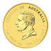 1 oz 2026 Lunar Year of the Horse Gold Coin | Perth Mint
