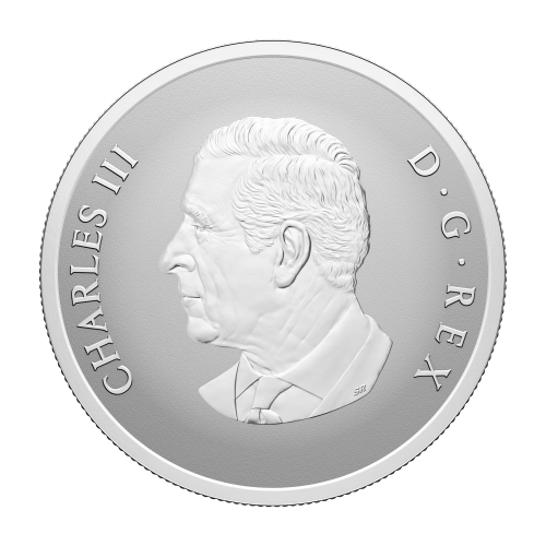 1 oz 2025 Remembrance Day Colourized Silver Coin | Royal Canadian Mint